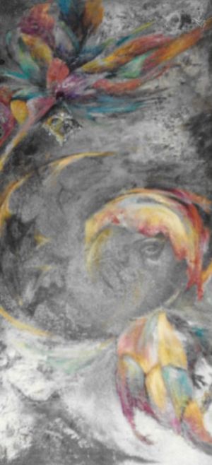 Serie ojos  